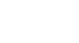 ALPINE SKI